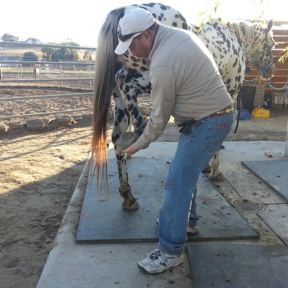 Meet Posher, Estevan - Picture 4 of 5